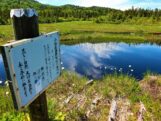 小松原湿原の池塘