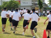 IMG_0531 (2)