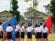 IMG_0538 (2)