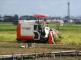 IMG_0567 (2)